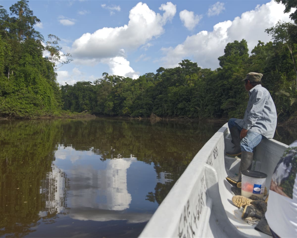 A man sits at the head of a motorized canoe looking onto a river and shore covered by trees against a blue sky with white clouds