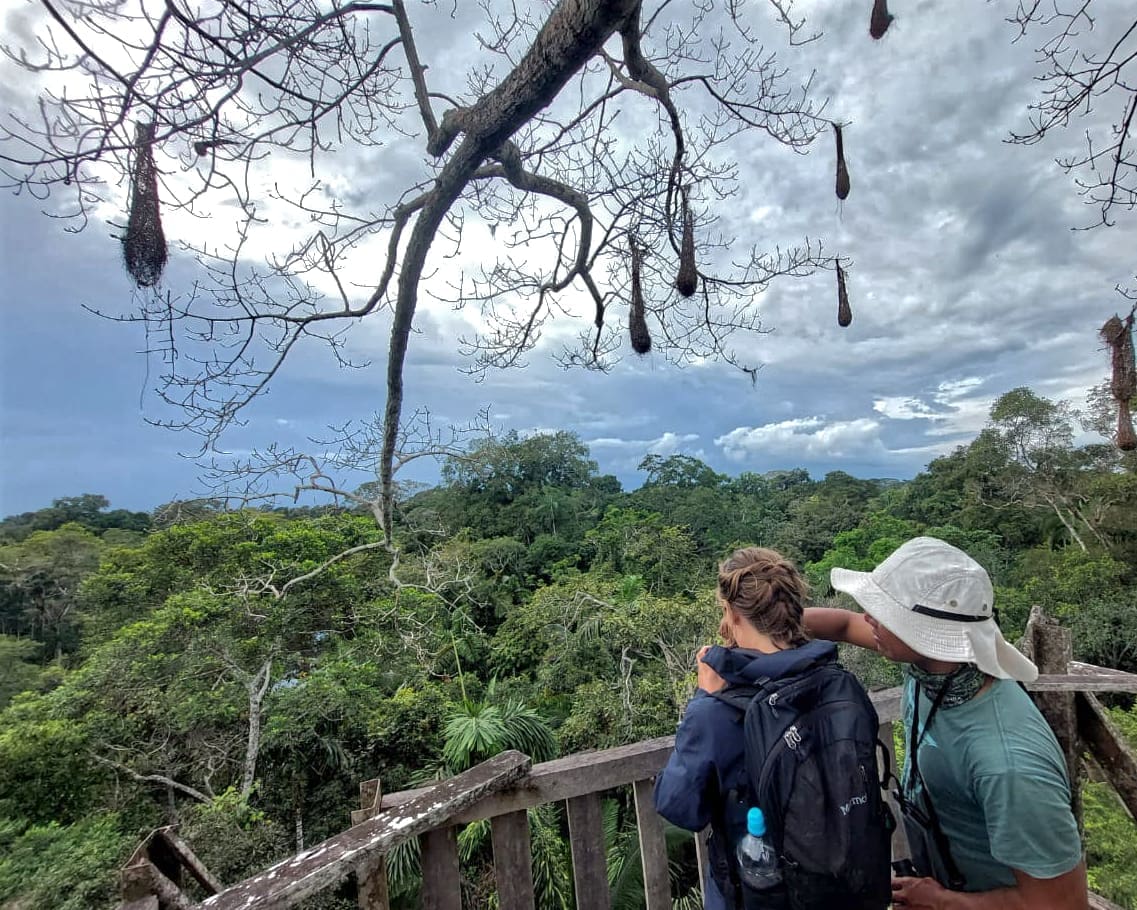 A young woman follows the pointed finger of the birding guide into the tree canopy hoping to spot a bird