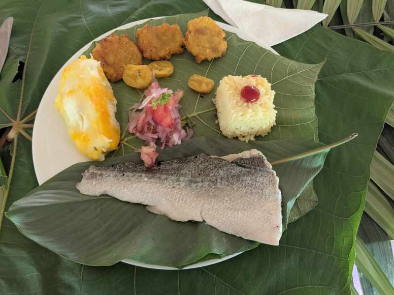 A traditional meal of fish, plantains, rice and vegetables served at Cuyabeno Kichwa Lodge.