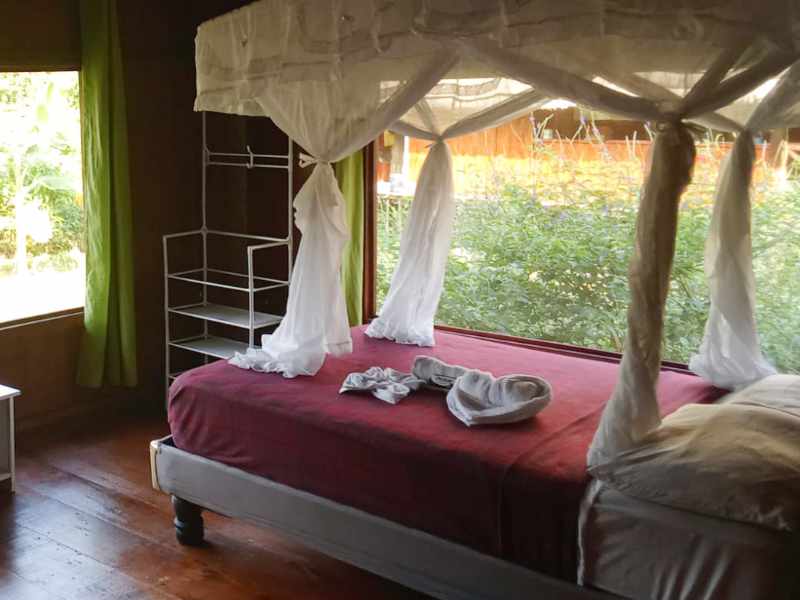 A room at Cuyabeno Kichwa Lodge with mosquito netting on the bed and ample view from the window.